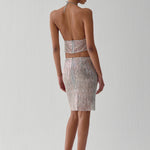 Arka Görsel - ANI SKIRT IN WET