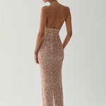 Arka Görsel - SILT MAXI DRESS IN GLITERATTI
