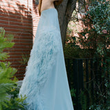 SWAN IN BLEU ROI
